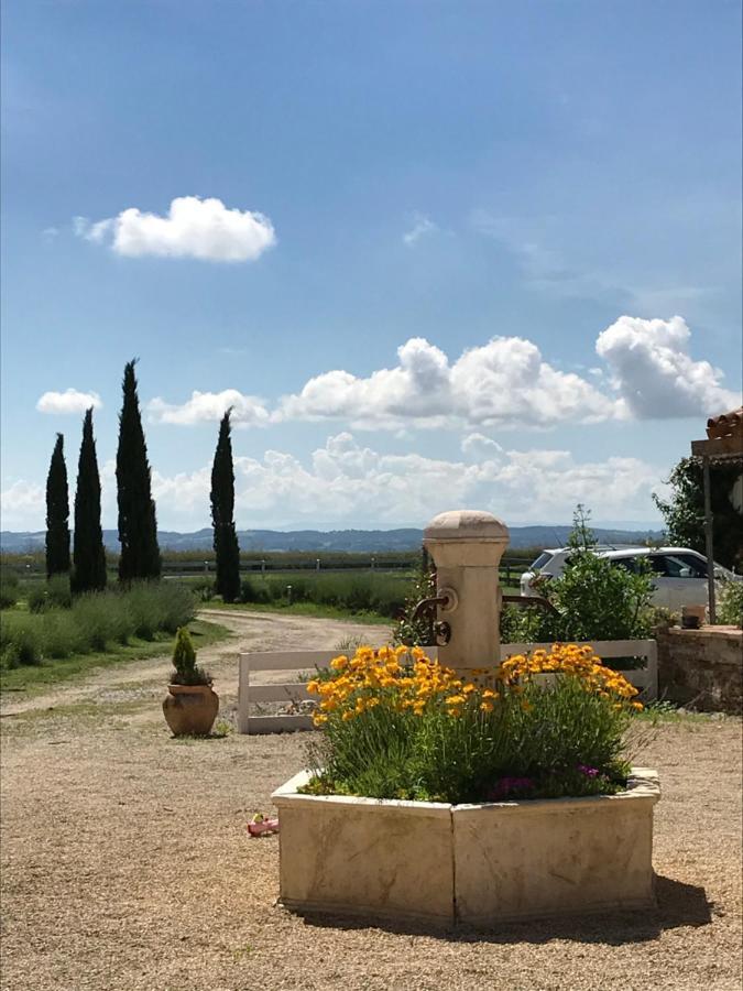 Residence La Salamandre Kamers Rabastens Экстерьер фото